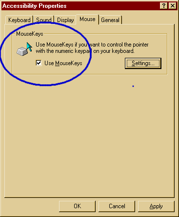 picture of mouse keys dialogue window